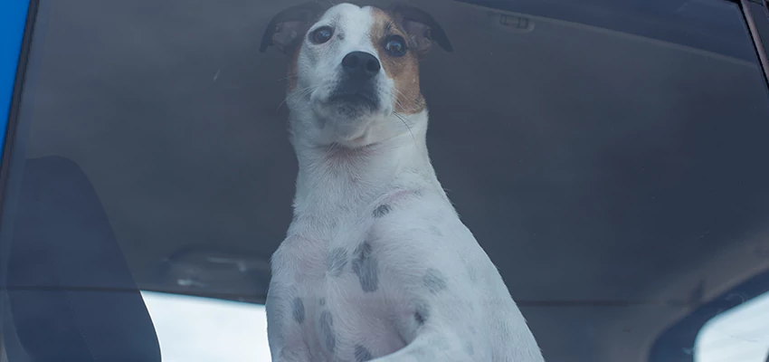 Car Lockout Solutions in Bell Gardens, California